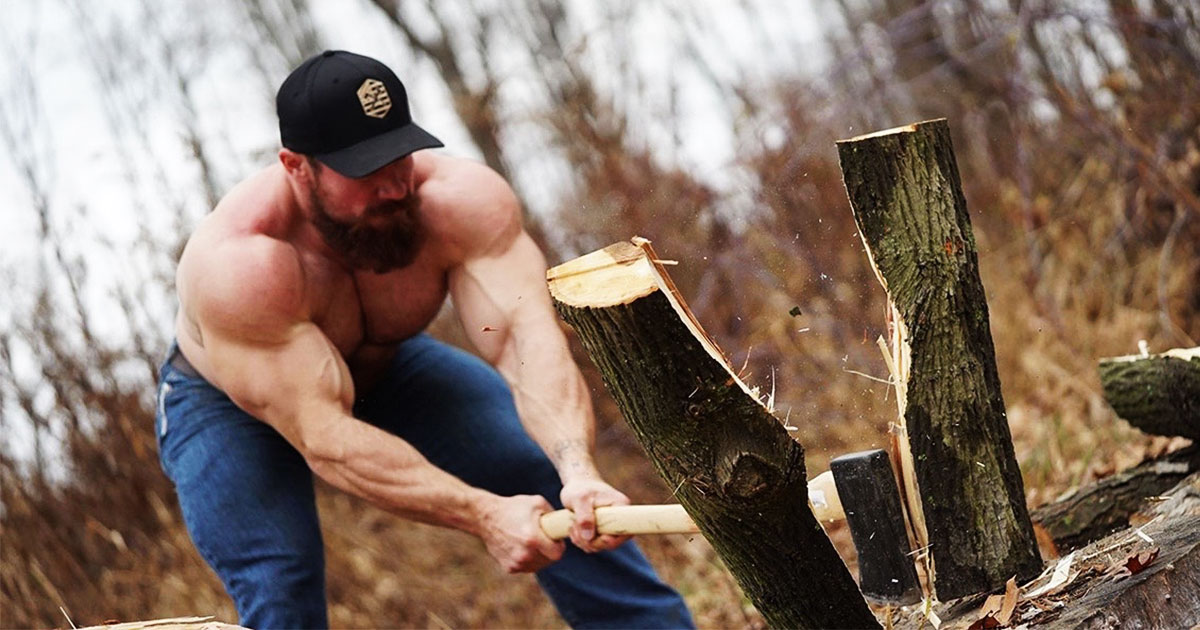 Исследование: повышает ли тестостерон древесную крошку ?!