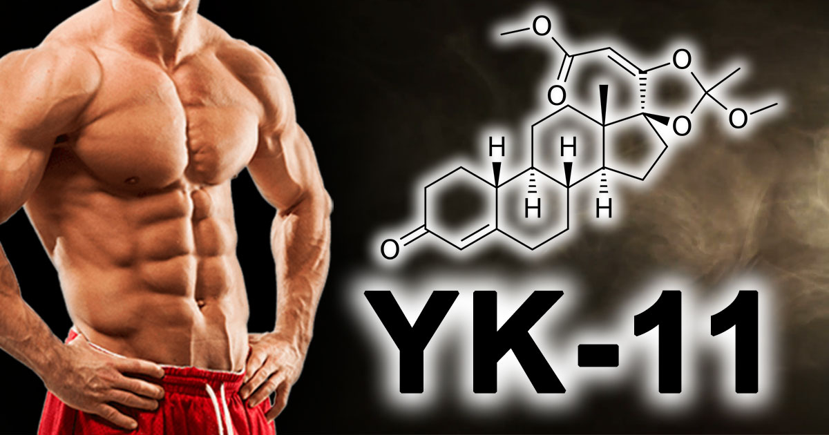 YK-11: «САРМ», который должен ингибировать миостатин?